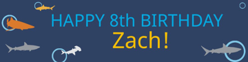 Picture of Vinyl Birthday 20