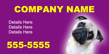 Picture of Pet Care 12