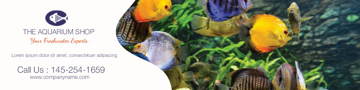 Picture of Vinyl Aquarium-01