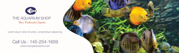 Picture of Vinyl Aquarium-01