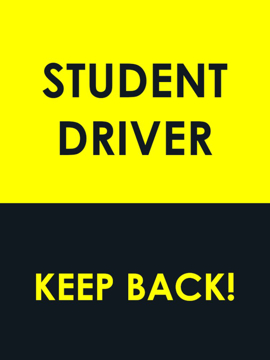 Picture of Student Driver 2