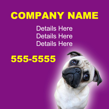 Picture of Pet Care 12