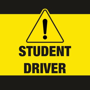 Picture of Student Driver 8