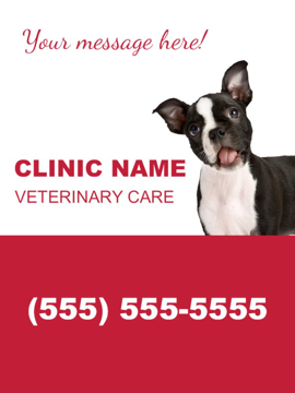 Picture of Pet Care 2