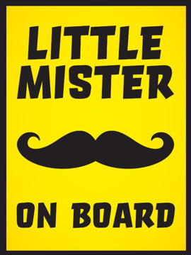 Picture of Baby On Board 5