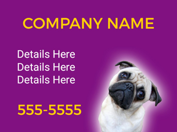 Picture of Pet Care 12