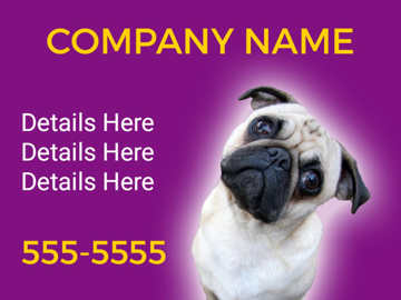 Picture of Pet Care 12