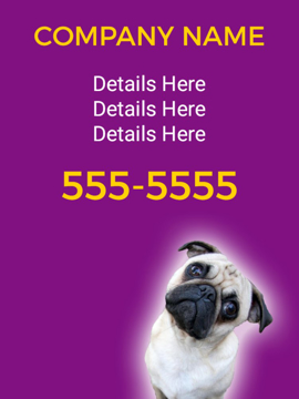 Picture of Pet Care 12