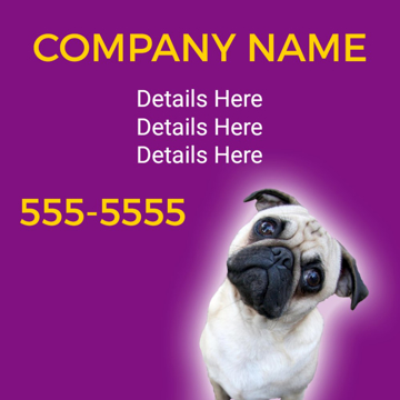 Picture of Pet Care 12