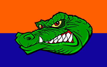 Picture of Sports Flag 2 - 5x8