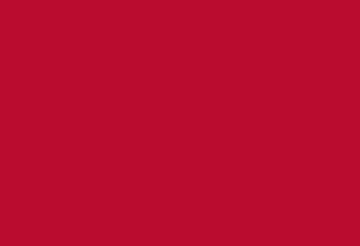 Picture of Brick Flag 11 - 2x3