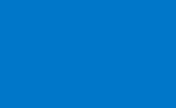 Picture of Brick Flag 4 - 3x5