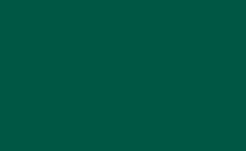 Picture of Brick Flag 5 - 3x5