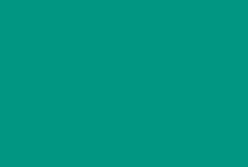 Picture of Brick Flag 13 - 4x6