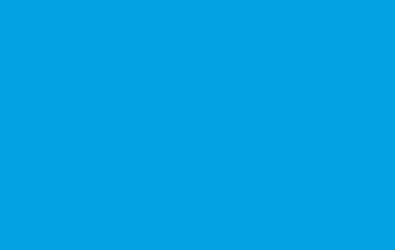 Picture of Brick Flag 3 - 5x8