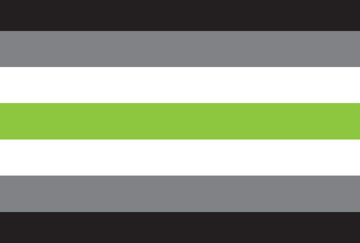 Picture of Agender Pride Flag - 4x6
