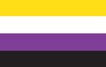 Picture of Non-Binary Pride Flag - 5x8